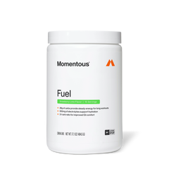 Fuel