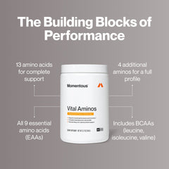 Vital Aminos